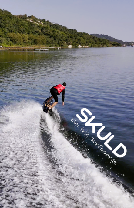 SKULD prancha eletrica (1).png